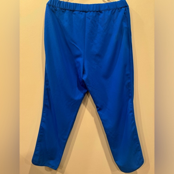 FIGS Royal Blue Presta Scrub Pant - Picture 3 of 4